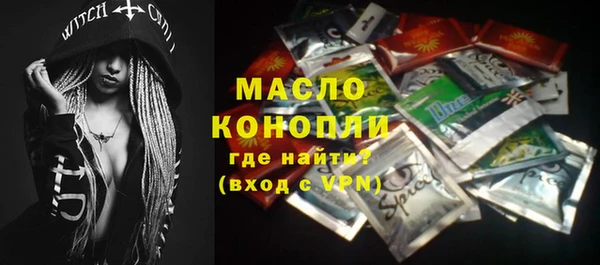 spice Богородск