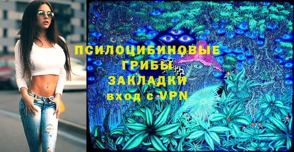 mdpv Богданович