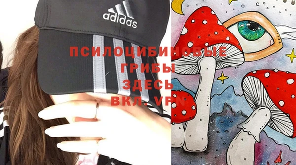 spice Богородск