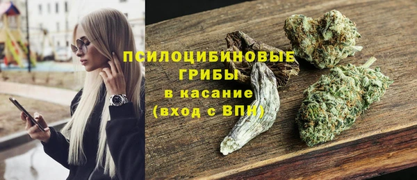 spice Богородск