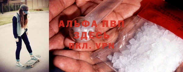 spice Богородск