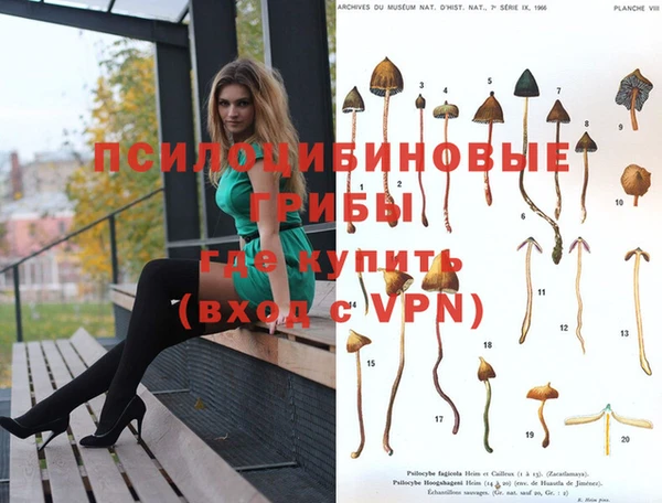 альфа пвп VHQ Богородицк