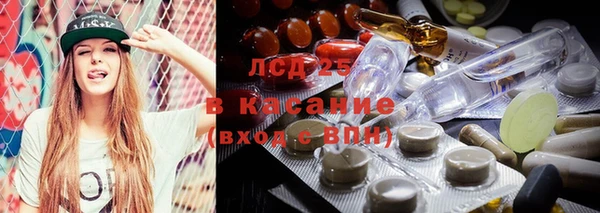 spice Богородск