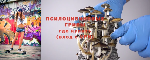 spice Богородск