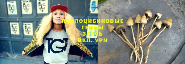 mdpv Богданович