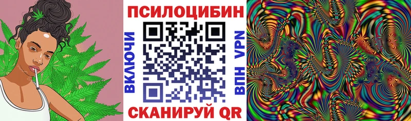 где купить наркоту  Мичуринск  Галлюциногенные грибы GOLDEN TEACHER 